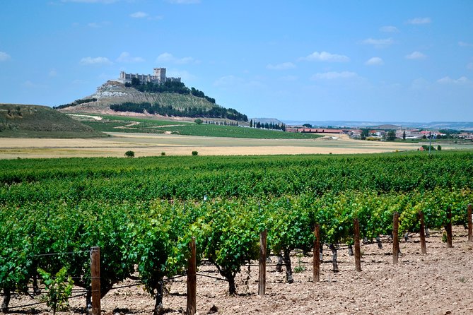 Ribera del Duero Small Group Tour: Tapas & Wine Tasting - Key Points If You’re Short on Time