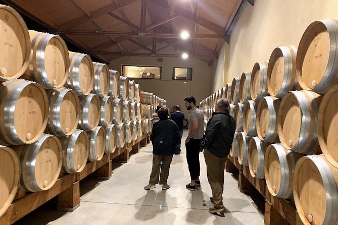 Ribera del Duero Small Group Tour: Tapas & Wine Tasting - Why Ribera del Duero From Madrid Feels Like a Real Getaway