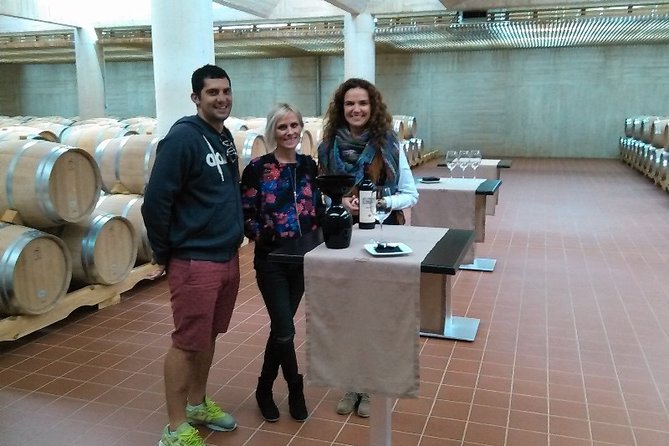 Ribera del Duero Small Group Tour: Tapas & Wine Tasting - Barrel Tasting and Wine Caves: The Parts You’ll Remember