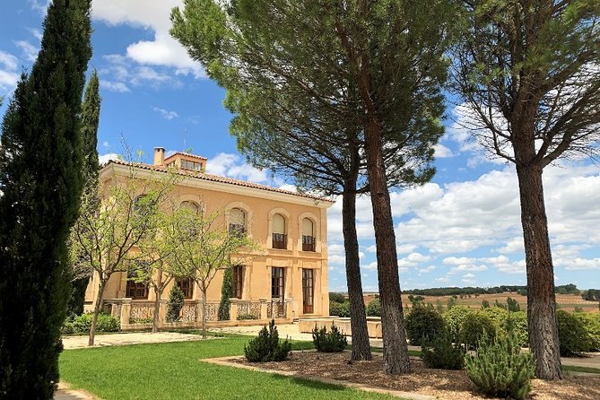 Ribera del Duero Small Group Tour: Tapas & Wine Tasting - Price and Value: $288.24 for a 10-Hour Wine Day That’s Not “Cheap”