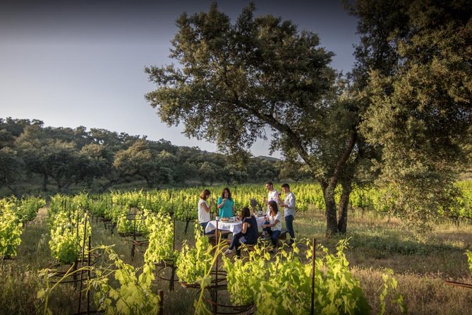 Ronda Private Wine Tour and Tapas from Marbella - Marbella to the Ronda region: the quiet part of the day