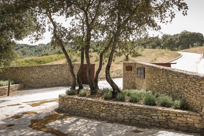 Ronda Private Wine Tour and Tapas from Marbella - Price and value: is $473.05 per person worth it?