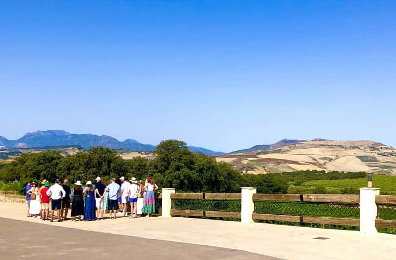 Ronda: Winery Tour with Wine Tasting and Tapas - A 2-Hour Ronda Wine Tasting That Feels Like a Visit, Not a Lecture