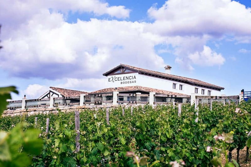 Ronda: Winery Tour with Wine Tasting and Tapas - Four Wines and Traditional Andalusian Tapas: How the Pairing Plays Out
