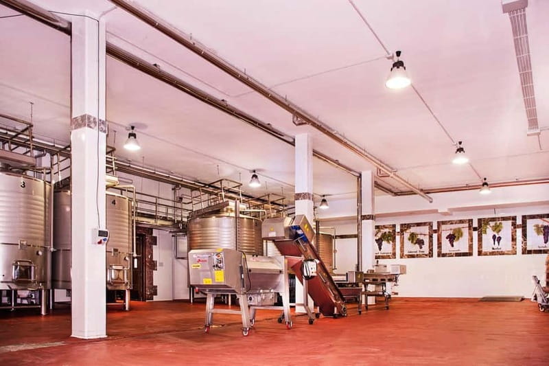 Ronda: Winery Tour with Wine Tasting and Tapas - Winery Welcome With an Expert Winemaker’s Real-World Perspective