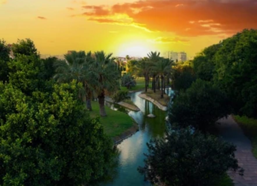 Ruzafa Food & Wine Tour: Tapas, Drinks & Local Secrets - Who this Ruzafa food-and-wine tour fits best