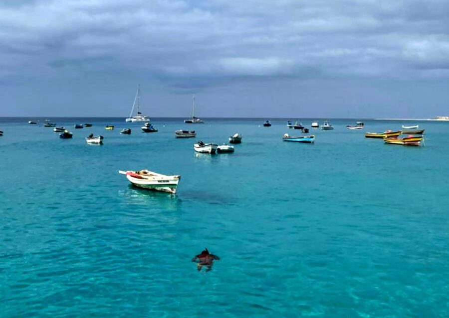 Sal island: Santa Maria city tour, street art and tapas - Getting There: Hotel Pickup on Sal and the Value of the Small Group