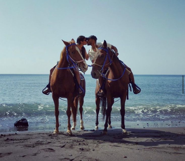 Santorini Fun day: Horseriding- Wine Tasting - Tapas - Key things that make this day worth it