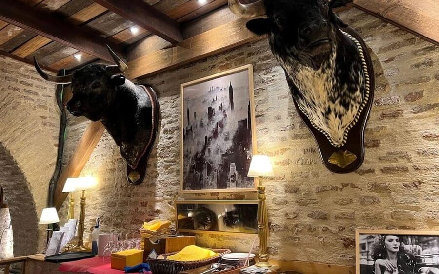 Seville: Tapas Dinner and Flamenco Show - The tapas tasting menu: shared plates, dessert, and drinks that keep pace
