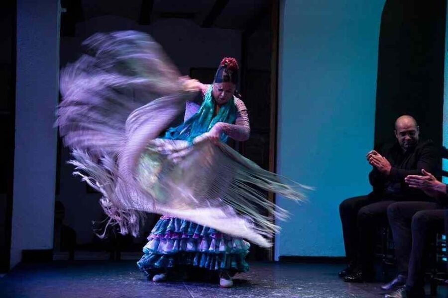 Seville: Tapas Dinner and Flamenco Show - Where this evening shines, and where it may not