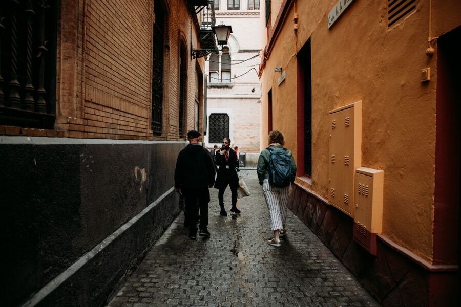 Seville: Tapas, Taverns, and History Walking Tour - The walk through historic streets and the old Moorish souk