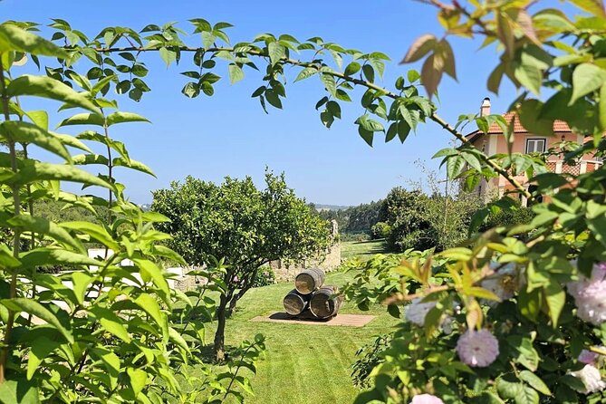 Sintra Food & Wine Experience – Tapas, Tastings & Culture - Azenhas do Mar: Cliffside Houses and an Ocean Pool Moment