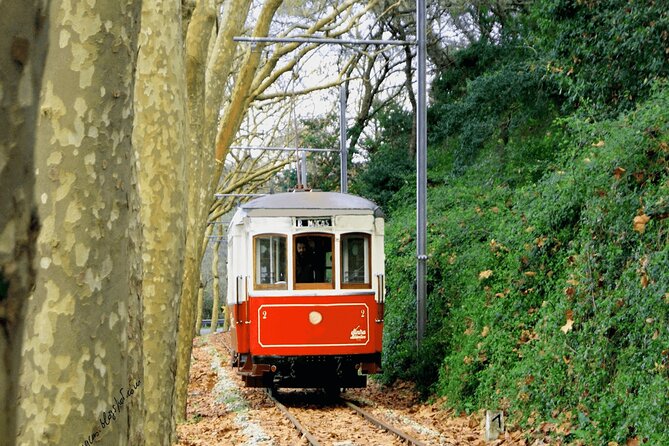 Sintra Food & Wine Experience – Tapas, Tastings & Culture - Sao Joao das Lampas: The Wine and Tapas Tasting Block (What You’re Really Paying For)
