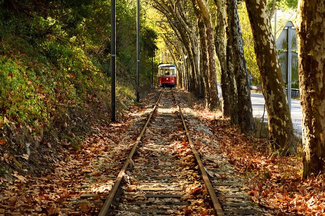 Sintra Food & Wine Experience – Tapas, Tastings & Culture - Price and Value: Does $395.30 Make Sense?