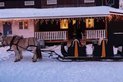 Sleigh Ride w/ Tapas Meal - Experience Arctic Farm Life - Sami lavvo tapas: cold bites, firelight, and Arctic flavors