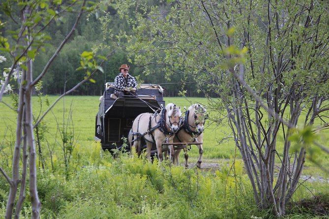 Sleigh Ride w/ Tapas Meal - Experience Arctic Farm Life - Pickup from Alta (and how to plan your timing)