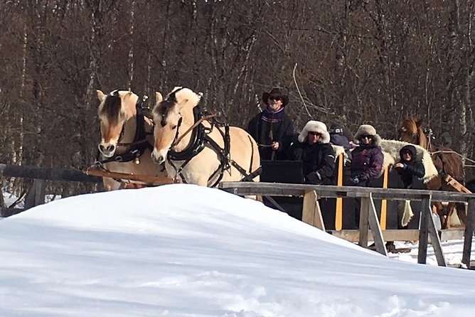Sleigh Ride w/ Tapas Meal - Experience Arctic Farm Life - Duration, group size, and the small-group feel