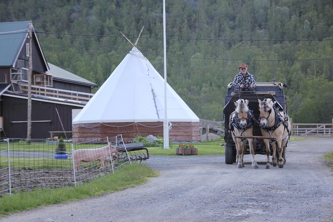 Sleigh Ride w/ Tapas Meal - Experience Arctic Farm Life - Price and value: is $236.79 worth it?