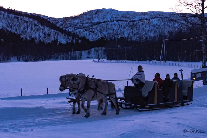Sleigh Ride w/ Tapas Meal - Experience Arctic Farm Life - Weather and winter reality checks (without ruining the fun)