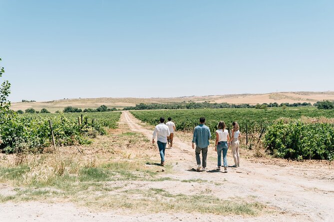 Spanish Villages & Winery Visit with Wine Tasting and Tapas Lunch - Price and value from Madrid: where the money actually goes
