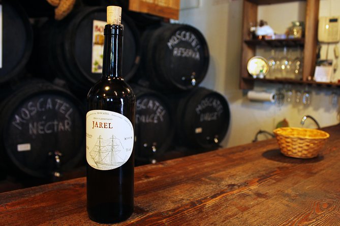 Sun and Wine Route - Small group, wine tasting and tapas included - Highlights in plain words