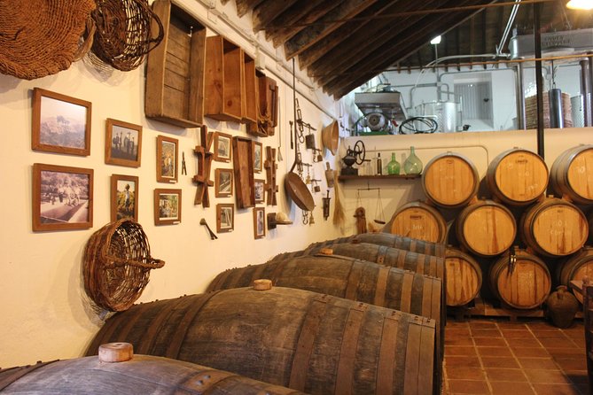 Sun and Wine Route - Small group, wine tasting and tapas included - Cómpeta and the Axarquía: what makes this day feel special