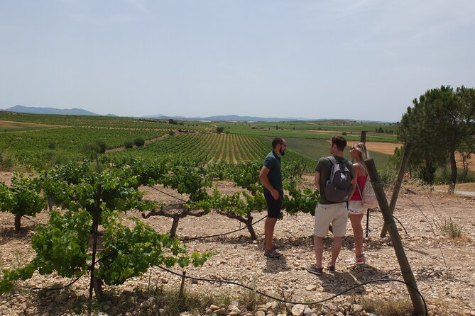 Tapas in the vineyards - Who this tour suits (and who might not love it)