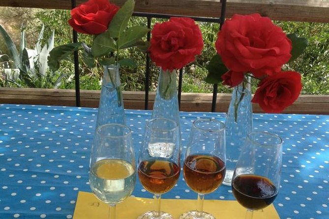 Tapas & Sherry an Andalucian Gourmet Experience. - Key Highlights You Should Know