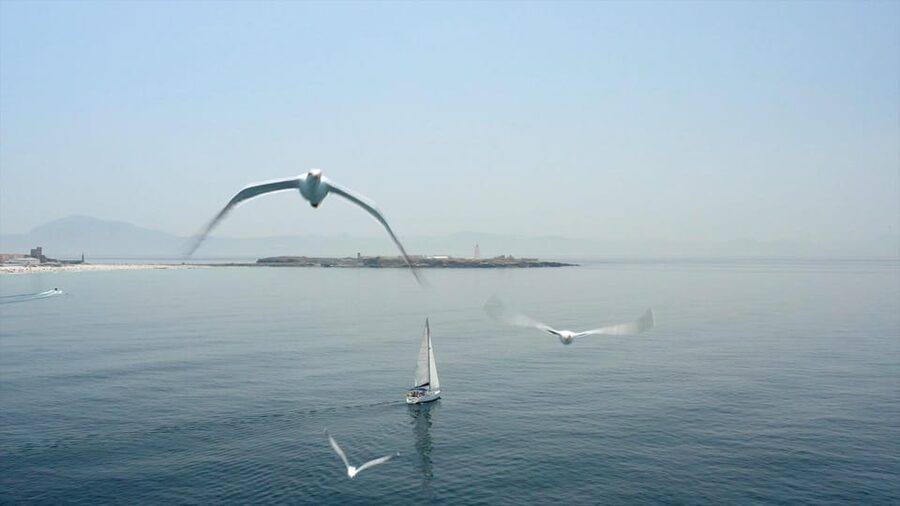 Tarifa: Sailboat Tour, Snorkelling, Tapas & Drinks - Who this tour suits best (and who may prefer a different day)