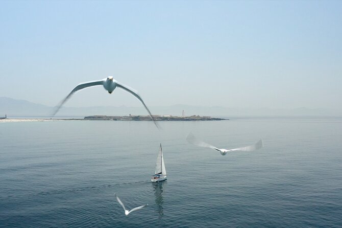Tarifa Sailing and Snorkeling Excursion with tapas and drinks - Should you book Tarifa Sailing and Snorkeling with tapas?
