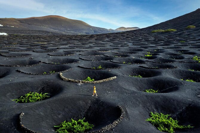 Taste Tradition 4 Wineries and Tapas Bar - Entering La Geria’s volcanic vine world
