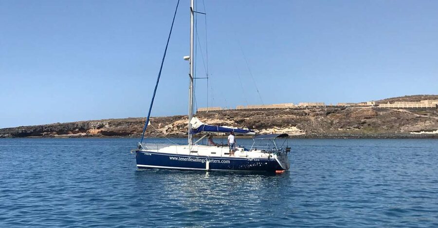 Tenerife: Private Sunset Charter with Drinks and Tapas - Whales and dolphins: what to expect when you select the marine-life option