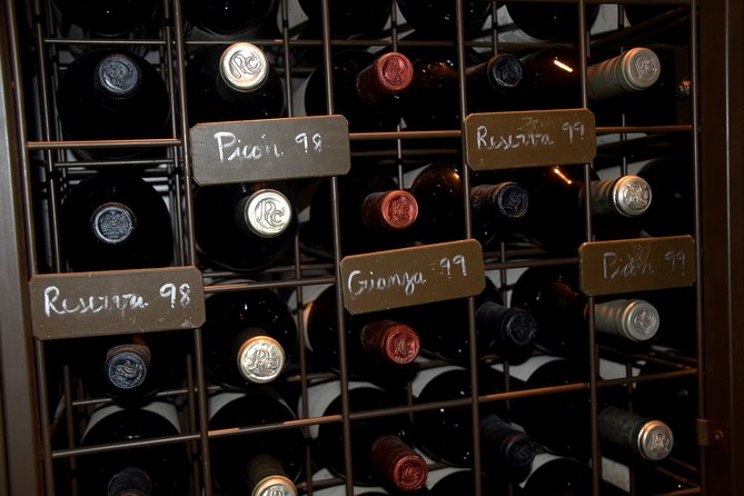 Tour in Ribera del Duero "like a native", with traditional Spanish tapas - The local wine guide in English: what you should pay attention to