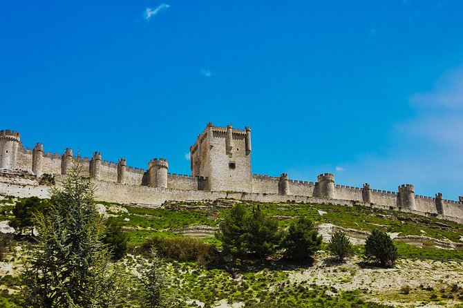 Tour in Ribera del Duero "like a native", with traditional Spanish tapas - 9:30 am departure and private transport: how the logistics affect your comfort