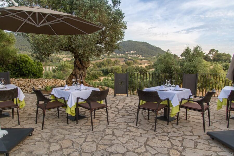 Treurer: Tapas Gourmet and Extra Virgin Olive Oil - Water Included, Other Drinks Not: How to Plan Your Budget
