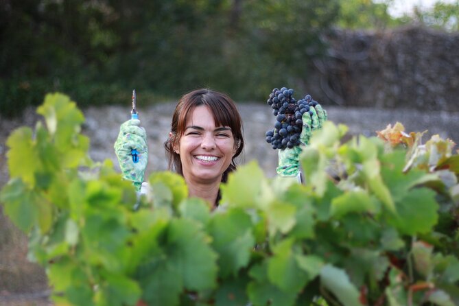 Urban winery tour, premium tasting flight & tapas - The Pace, Group Size, and Venue Setup