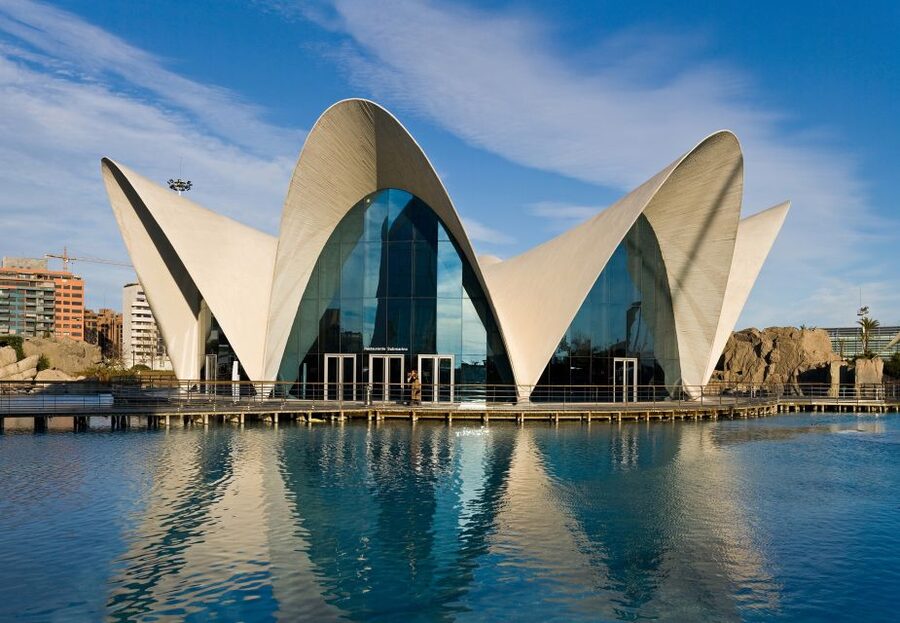 Valencia: Guided City Walking Tour with Tapas Tastings - Silk Exchange to Torres de Serranos: reading the city as you walk