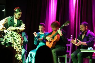 Vibrant Flamenco Show and Tapas Menu in Alicante - The flamenco show: why this format works