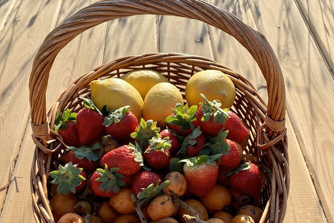 Vilamoura, Albufeira & Porches: Wine Tasting, Tapas & Music Tour - Price and value for a $69.69, two-hour format