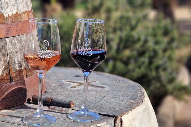 Wine and Tapas Tasting Tour from Alicante, Private Van - Key points