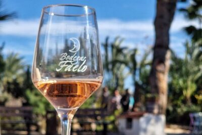 Wine and Tapas Tasting Tour from Alicante, Private Van - Bodegas Faelo: Cellars, Barrels, and a Four-Wine Introduction