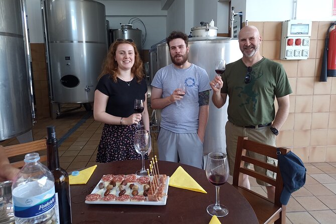 Wine, Canarian Tapas, Culture, VIP Private tour - photos included - Vilaflor winery: vineyard walk, Canarian tapas, and real tasting time