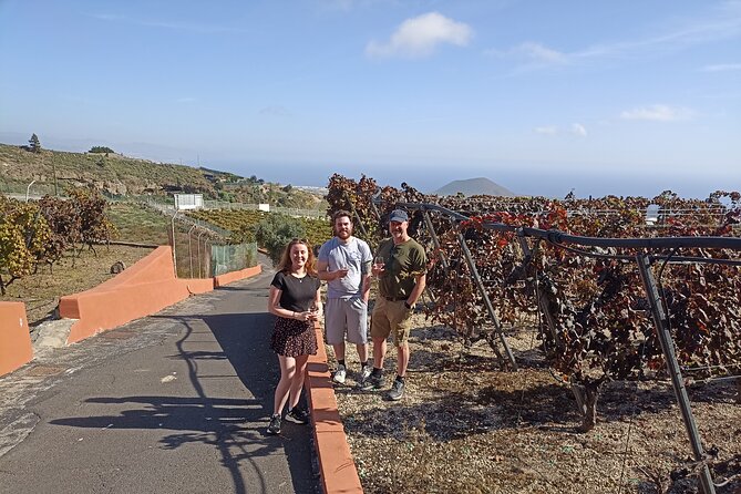 Wine, Canarian Tapas, Culture, VIP Private tour - photos included - Playa de El Roque: cave houses and black sand for a quieter Tenerife moment