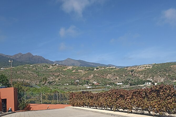 Wine, Canarian Tapas, Culture, VIP Private tour - photos included - Photos with Theo: the part most people forget to plan