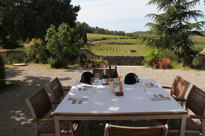 Wine & Cava Penedes Tour: Wineries, Wine Tasting and Tapas - Key highlights you’ll care about