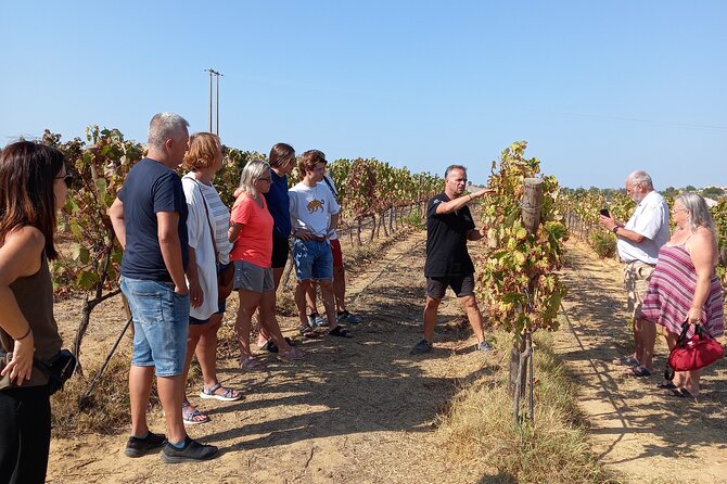 Wine Lovers: Winery Tour w/ Tasting & Tapas (Albufeira/Vilamoura) - Key Points Before You Go