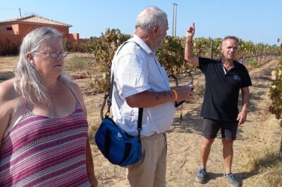 Wine Lovers: Winery Tour w/ Tasting & Tapas (Albufeira/Vilamoura) - Pickup From Albufeira or Vilamoura: Make It Easy on Yourself