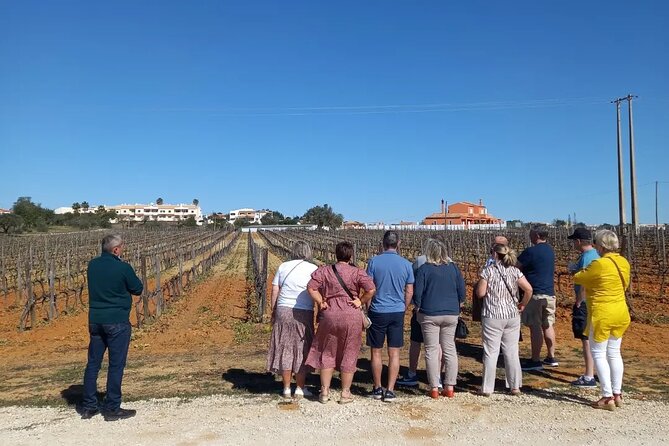 Wine Lovers: Winery Tour w/ Tasting & Tapas (Albufeira/Vilamoura) - Group Size and What to Expect Inside the Van