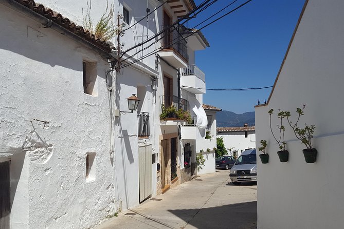 Wine, Tapas & Lake Zahara by e-bike incl Ronda pickup (full day) - E-bikes in the real world: why this ride feels manageable