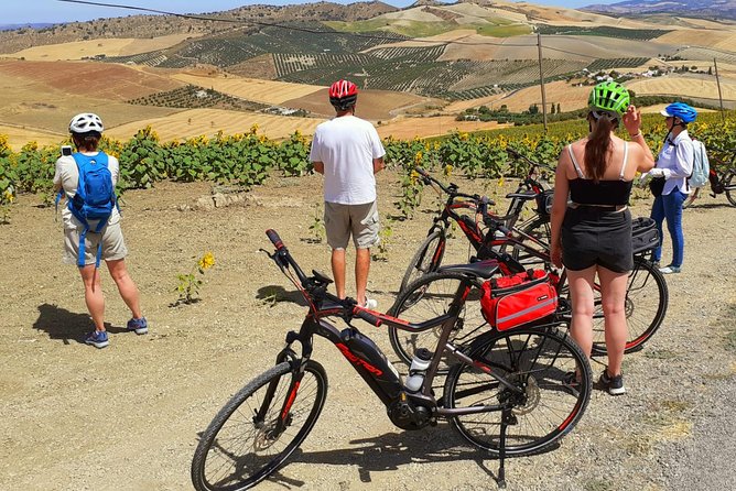 Wine, Tapas & Lake Zahara by e-bike incl Ronda pickup (full day) - Lunch with a complimentary glass: built-in value